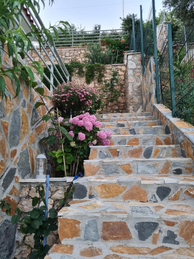 Vila Tatjana Guest House Vuno Exterior foto
